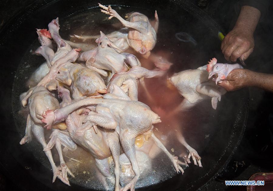 #CHINA-HEBEI-SHIJIAZHUANG-STEWED CHICKEN (CN)