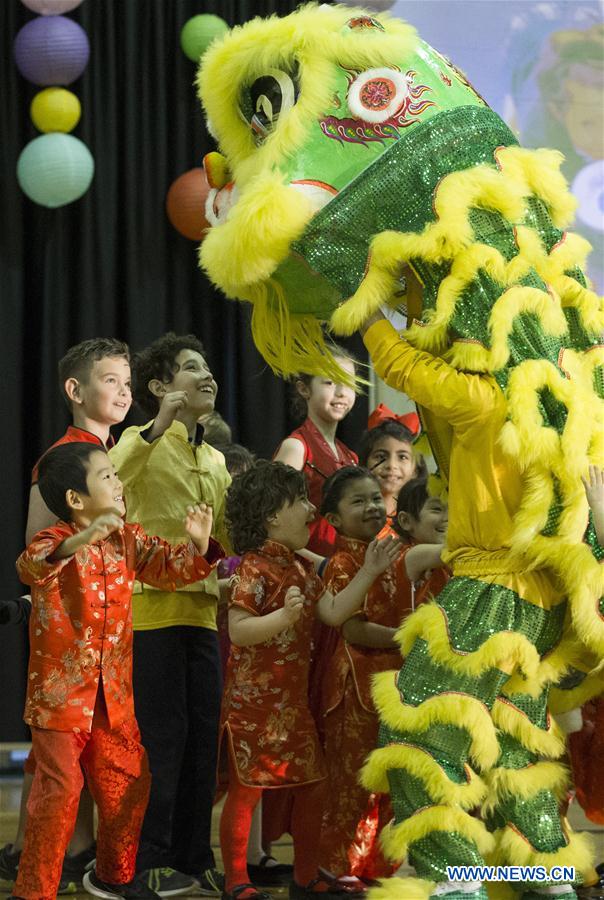 U.S.-HOUSTON-CHINESE NEW YEAR