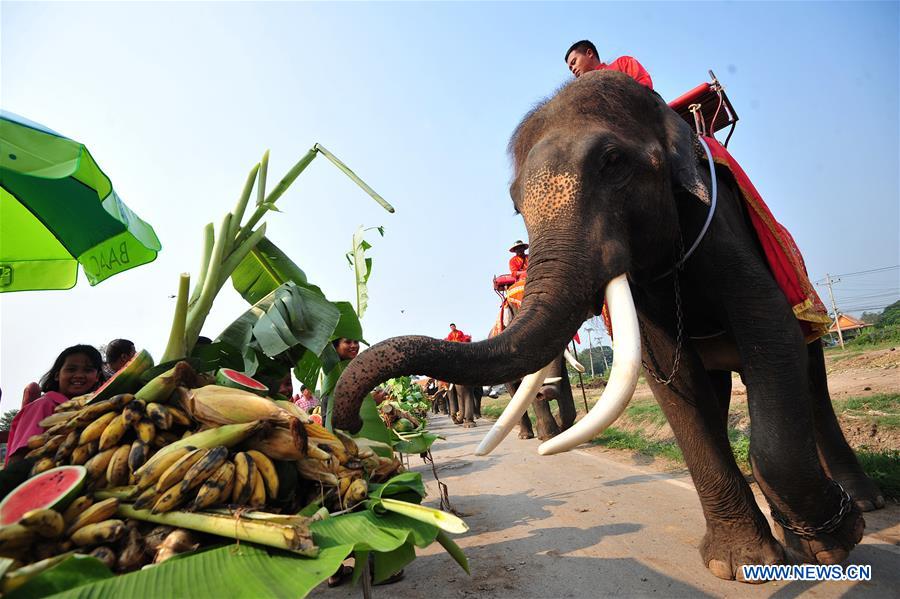 THAILAND-AYUTTHAYA-ELEPHANT DAY