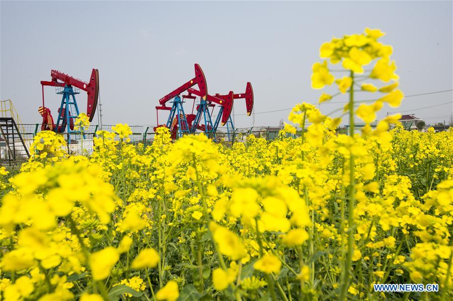 #CHINA-SPRING-SCENERY(CN)