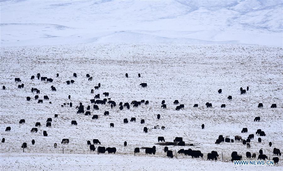 XINHUA PHOTO WEEKLY CHOICES (CN)