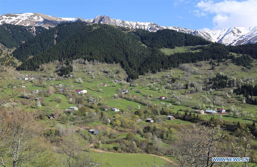 TURKEY-ARTVIN-SPRING