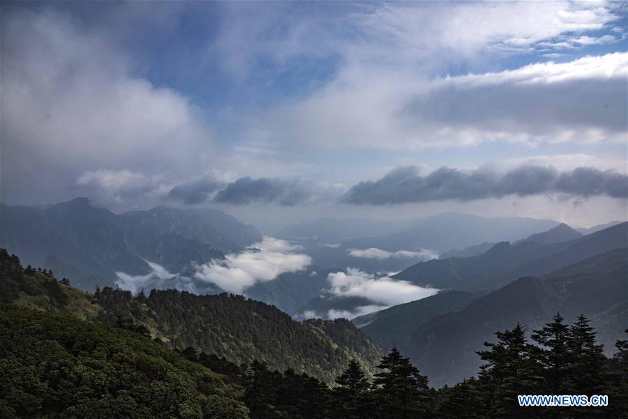 CHINA-HUBEI-SHENNONGJIA-SCENERY (CN)