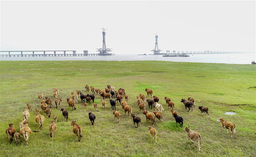 #CHINA-JIANGXI-POYANG LAKE-BRIDGE (CN)