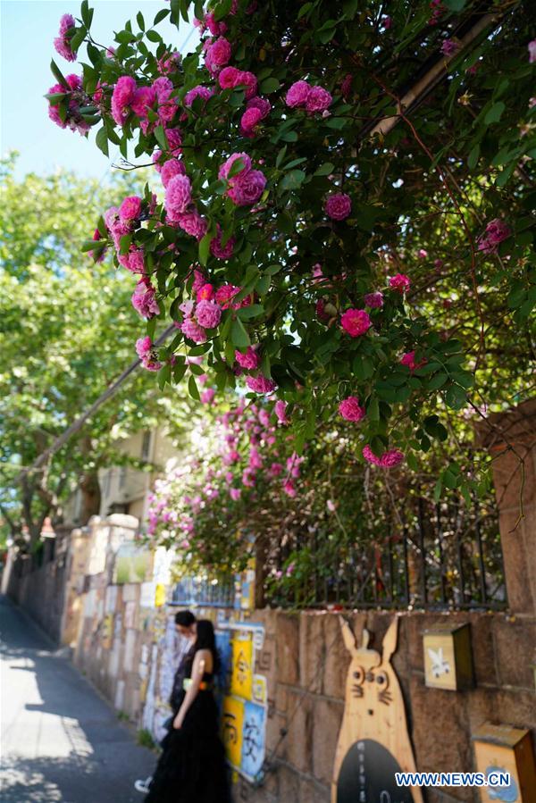 CHINA-QINGDAO-SCO-SCENERY (CN)