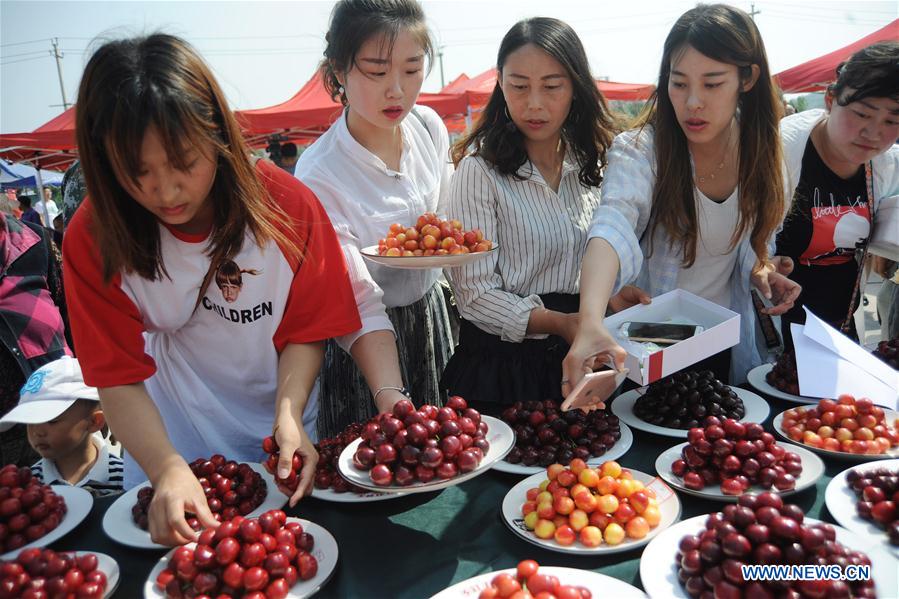 #CHINA-SHANDONG-YANTAI-CHERRY (CN)