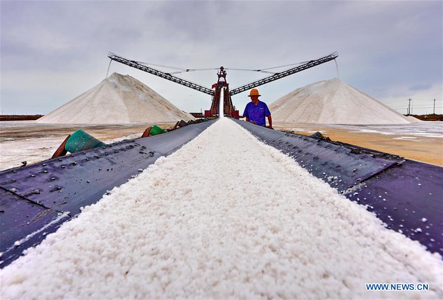 CHINA-HEBEI-TANGSHAN-SEA SALT HARVEST (CN)