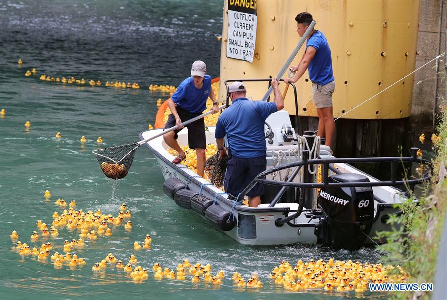 U.S.-CHICAGO-RUBBER DUCKY DERBY-CHARITY