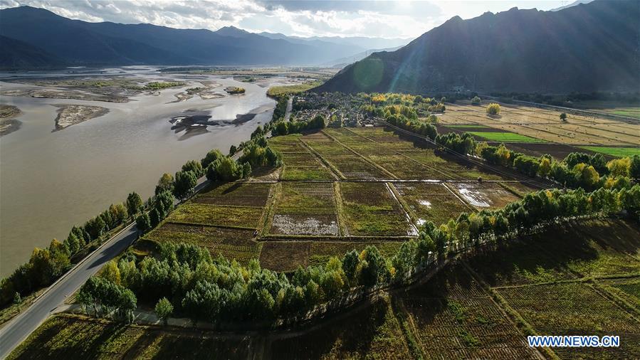 CHINA-TIBET-AUTUMN-SCENERY (CN)