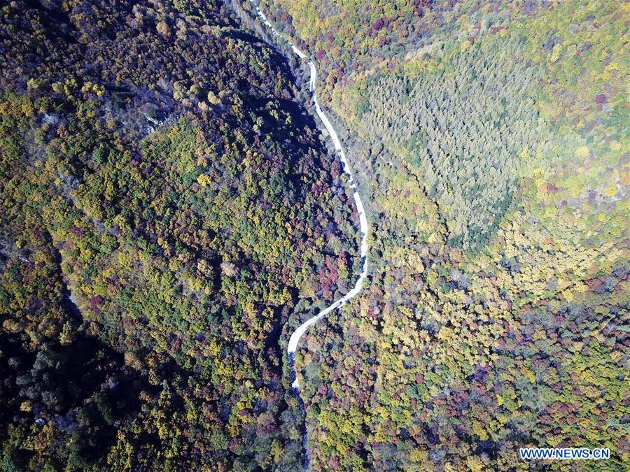 #CHINA-HEBEI-CHENGDE-AUTUMN SCENERY (CN)