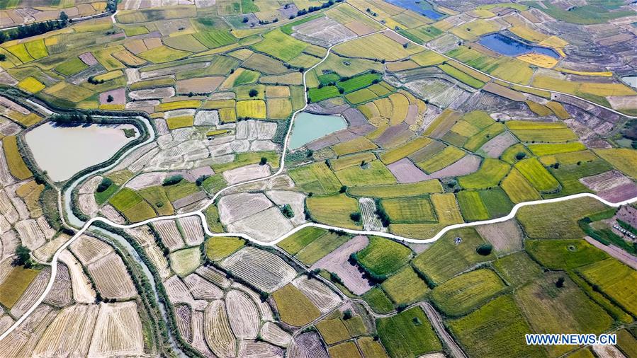 CHINA-ANHUI-FENGYANG-XIAOGANG VILLAGE-RURAL LAND REFORM (CN)