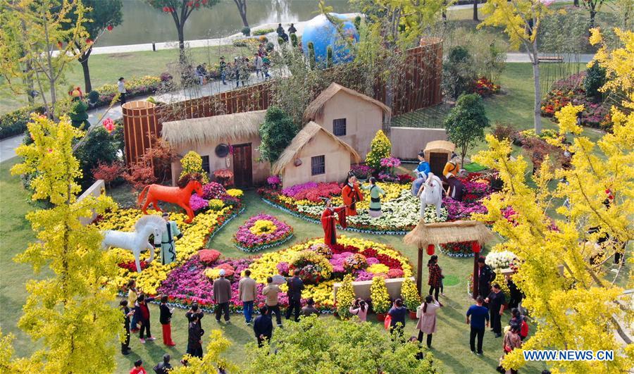 #CHINA-JIANGSU-CHRYSANTHEMUM-SHOW (CN)