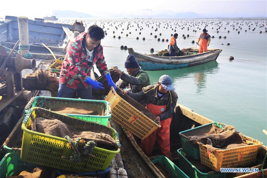 #CHINA-SHANDONG-RONGCHENG-AQUACULTURE (CN)