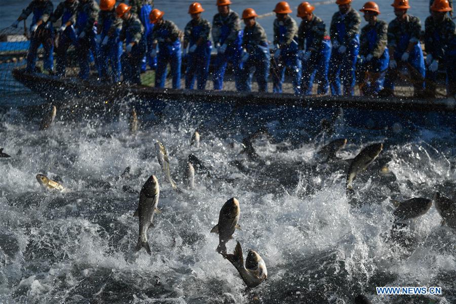 CHINA-HANGZHOU-QIANDAO LAKE-FISHING (CN)