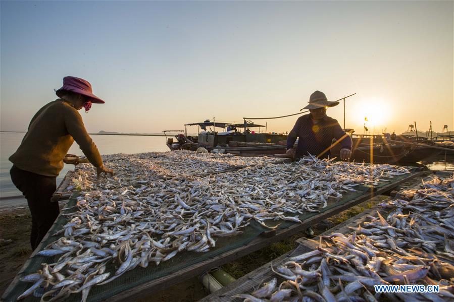 #CHINA-JIANGXI-FISHERY-PRODUCTION (CN)