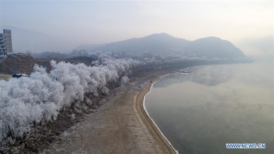 #CHINA-JILIN-FROSTY SCENERY(CN)