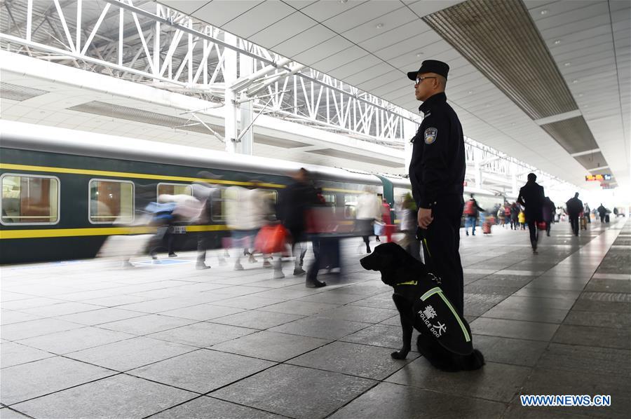 CHINA-CHONGQING-SPRING FESTIVAL-POLICE DOG (CN)