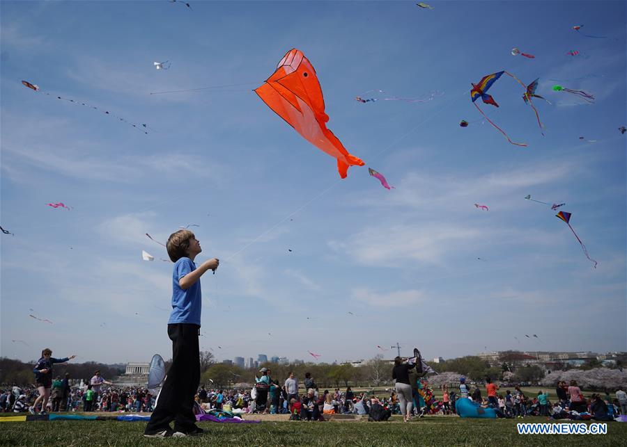 U.S.-WASHINGTON, D.C.-KITES