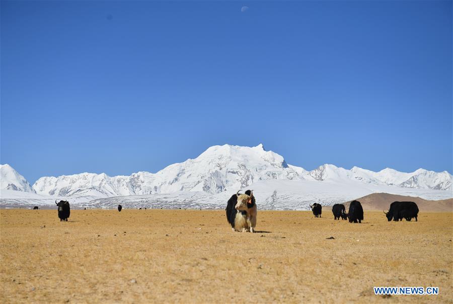 CHINA-TIBET-MOUNT SHISHAPANGMA (CN)