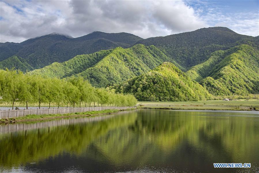 CHINA-HUBEI-SHENNONGJIA-SCENERY (CN)