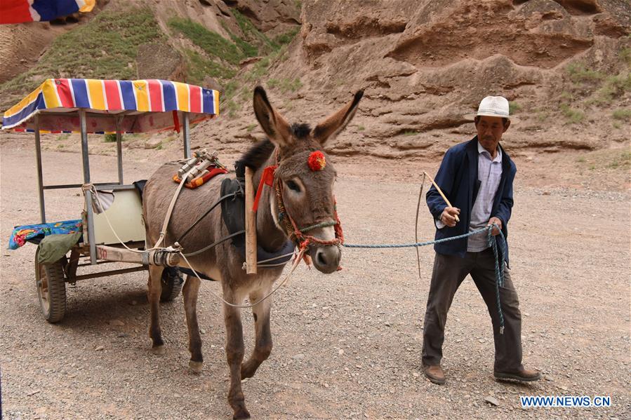 CHINA-GANSU-JINGTAI-DONKEY RIDE-BUSINESS (CN)