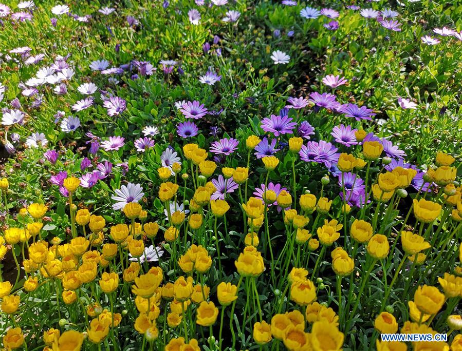 (BeijingCandid)CHINA-BEIJING-HORTICULTURAL EXPO (CN)