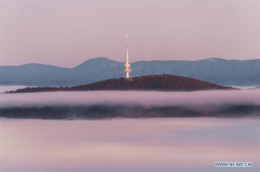 AUSTRALIA-CANBERRA-WINTER-MORNING SCENERY-FOG 