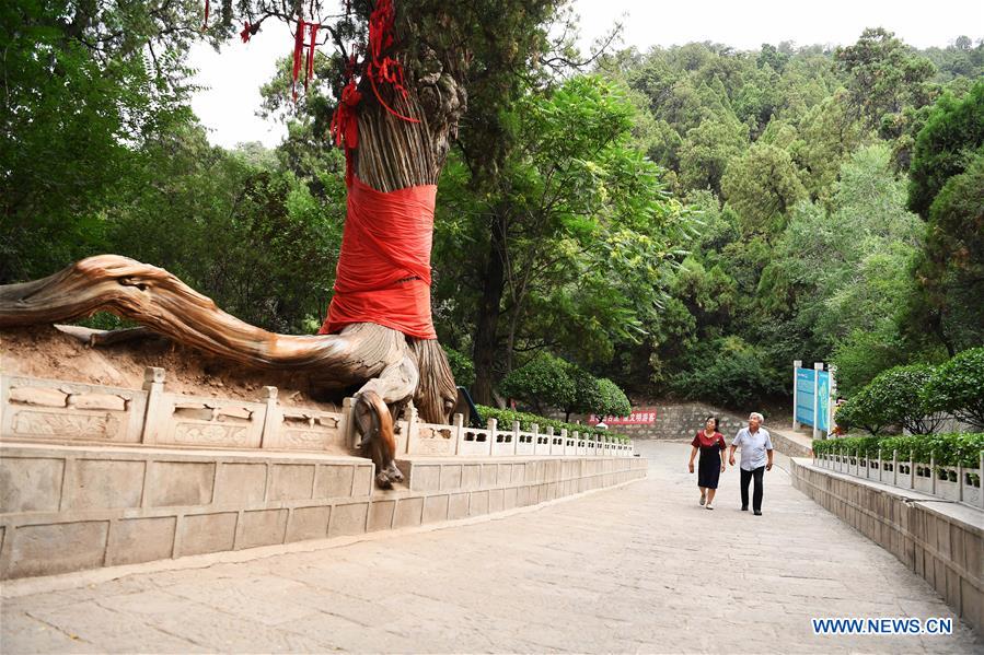 CHINA-SHANXI-JIAOCHENG-GUASHAN MOUNTAIN-SCENERY (CN)