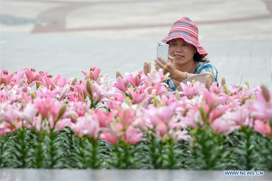 CHINA-JILIN-CHANGCHUN-LILY (CN)