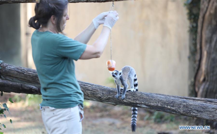 ITALY-ROME-ZOO-ANIMALS-HEAT