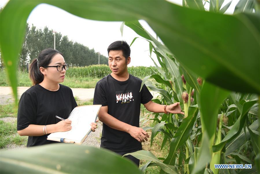 CHINA-SHANDONG-DEZHOU-AGRI-TECH PIONEERS (CN)