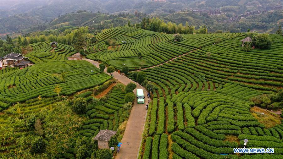 CHINA-GUANGXI-AUTUMN-AERIAL VIEW (CN)