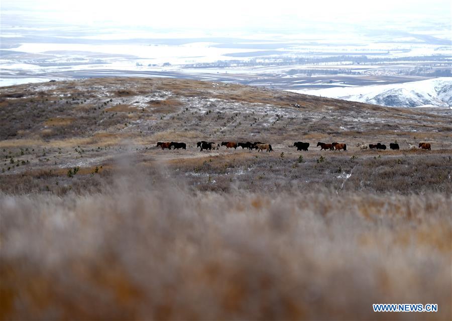 CHINA-INNER MONGOLIA-DAQING MOUNTAIN-SNOW-SCENERY (CN)