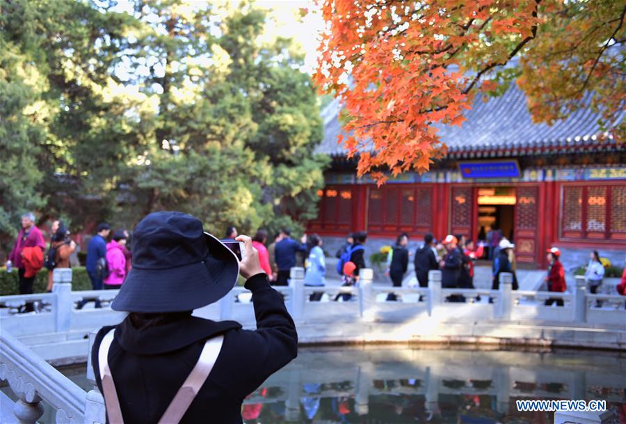 CHINA-BEIJING-XIANGSHAN PARK-AUTUMN SCENERY (CN)