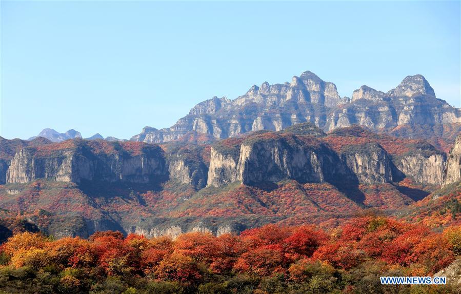 CHINA-HEBEI-PINGSHAN COUNTY-AUTUMN SCENERY-RED LEAF (CN)