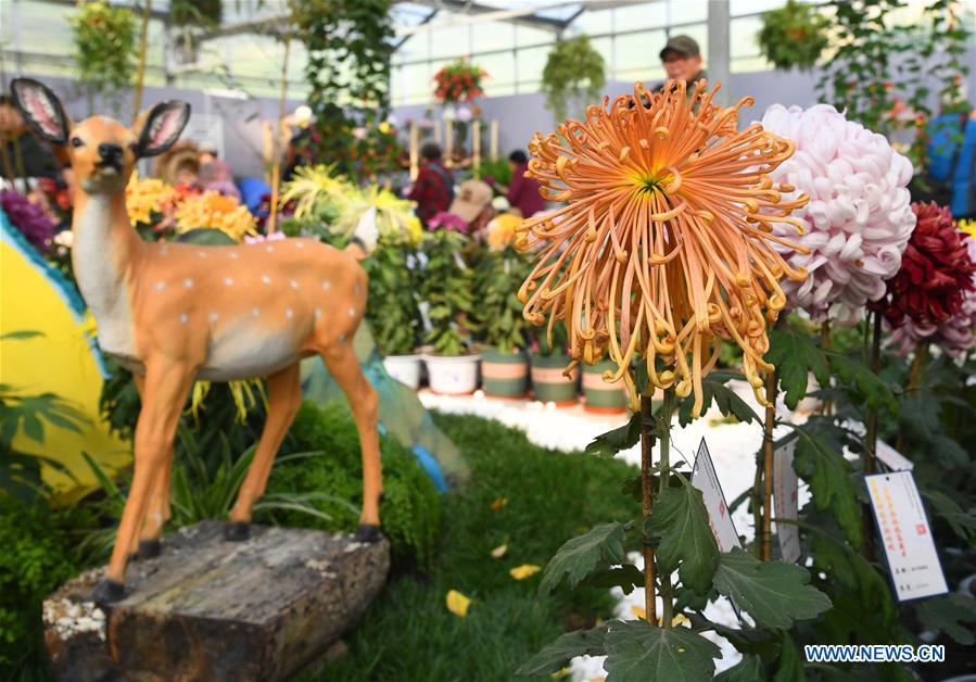 CHINA-BEIJING-CHRYSANTHEMUM-EXHIBITION (CN)