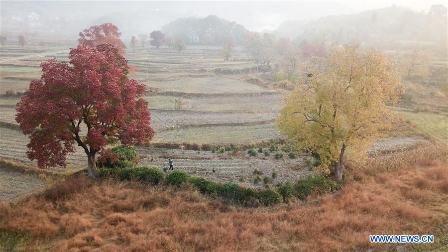 CHINA-ANHUI-HUANGSHAN-COUNTRYSIDE-SCENERY (CN)