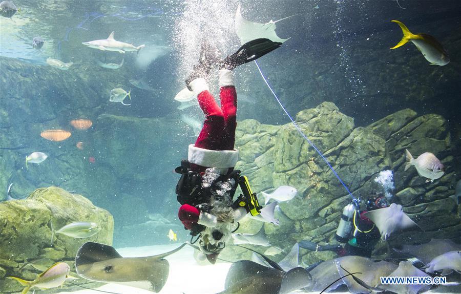 CANADA-TORONTO-SANTA CLAUS-DIVING