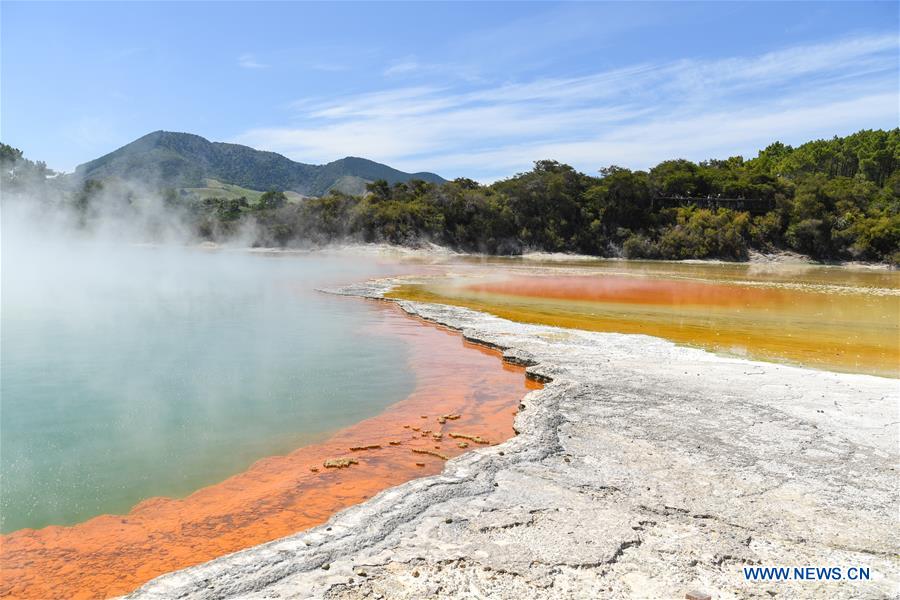 NEW ZEALAND-ROTORUA-WAI-O-TAPU THERMAL WONDERLAND