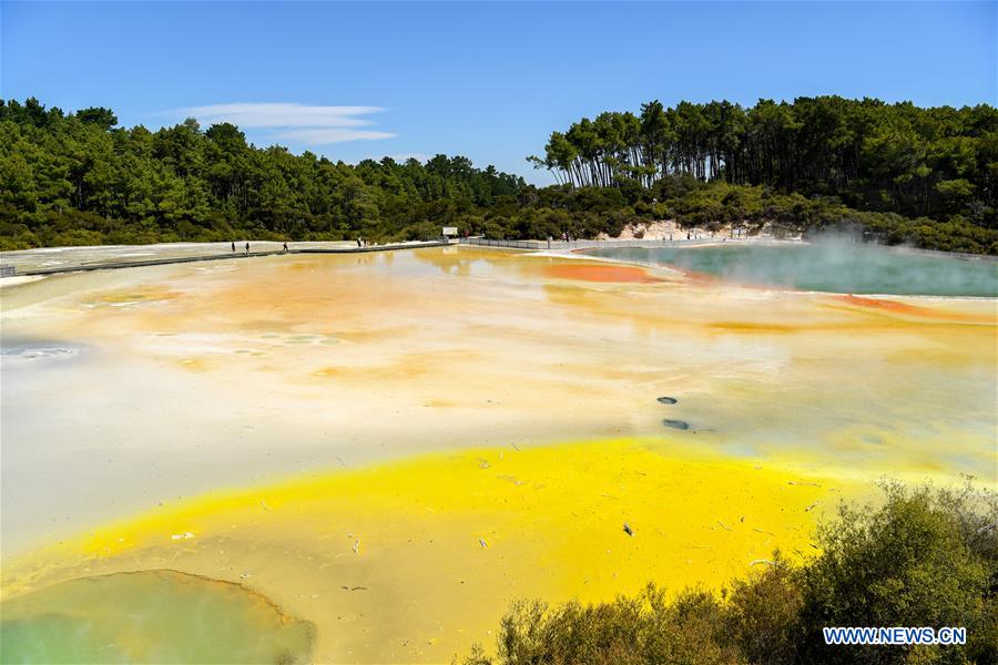 NEW ZEALAND-ROTORUA-WAI-O-TAPU THERMAL WONDERLAND