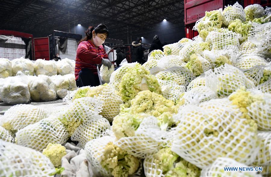 CHINA-SHANDONG-SHOUGUANG-VEGETABLE SUPPLY (CN)