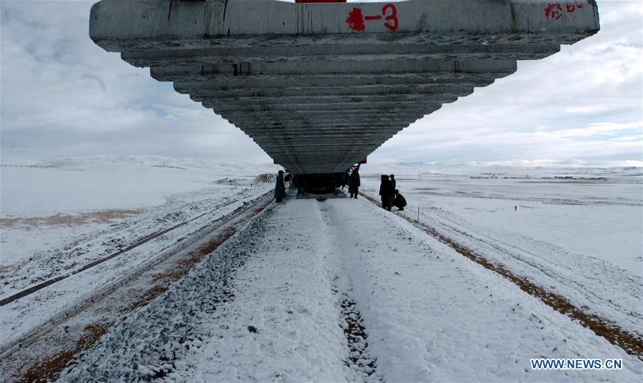 CHINA-QINGHAI-TIBET RAILWAY (CN)