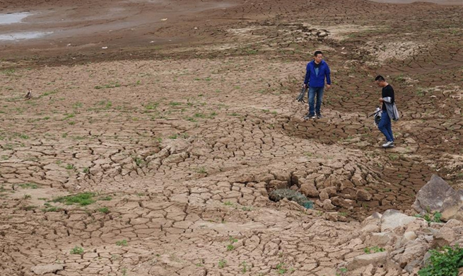 Orange alert for drought issued in E China's Jiangxi