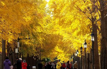 Autumn scenery of Old Summer Palace in Beijing