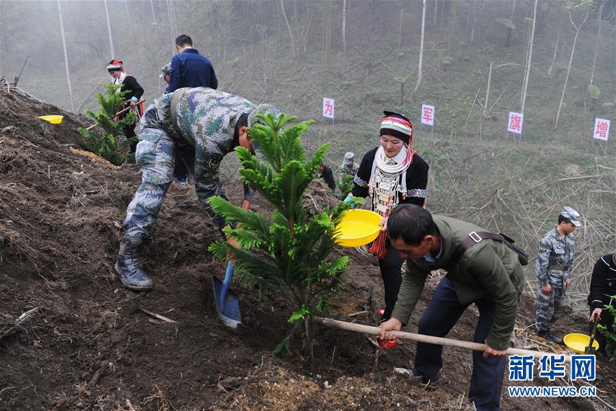 （图文互动）（6）和平年代，离死神最近的人——南部战区陆军云南扫雷大队边境扫雷排爆记事