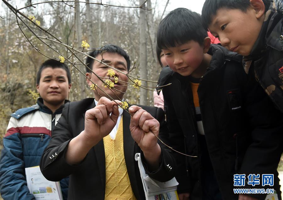 （时代先锋·图文互动）（8）伏牛山里好老师张玉滚：挑起孩子们走出大山的希望