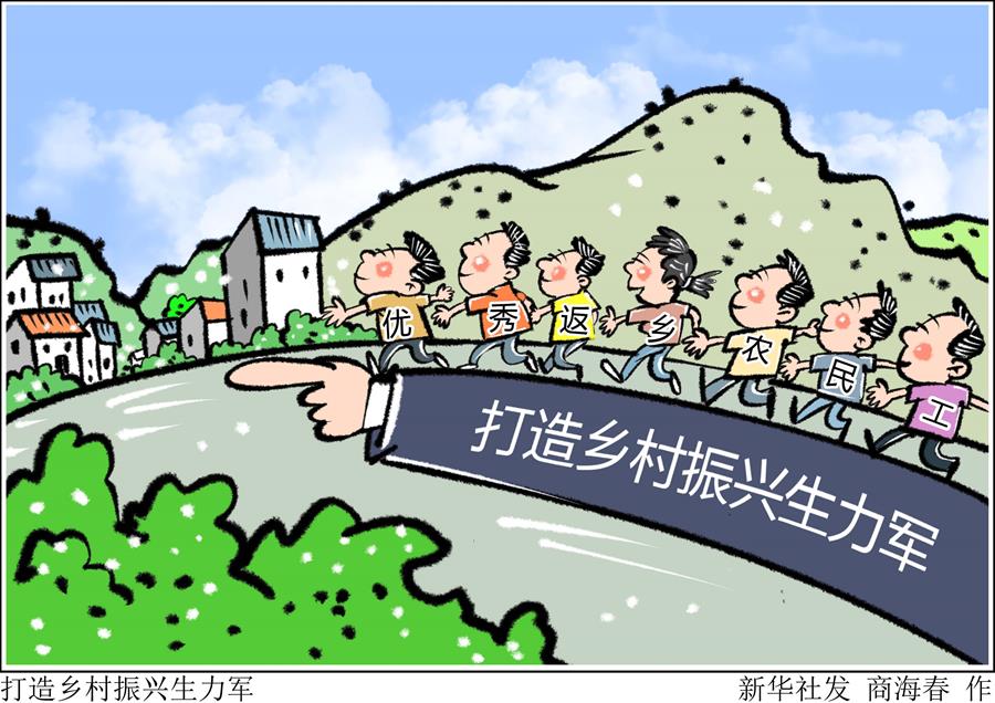 （图表·漫画）［新华时评·走向我们的小康生活］打造乡村振兴生力军