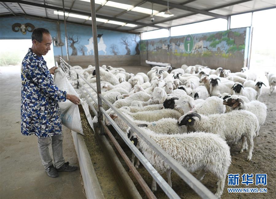 （新华全媒头条·图文互动）（2）决战决胜夺取脱贫攻坚战全面胜利——写在第7个国家扶贫日之际