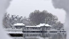 雪落人间