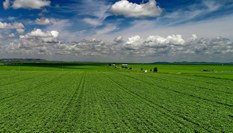 锡林郭勒草原夏日美景